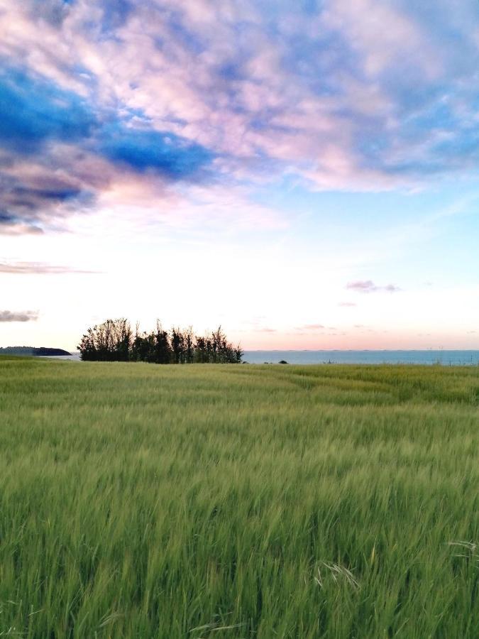 Le Ti'Nid - Gite De Charme - Vue Mer Langueux Buitenkant foto