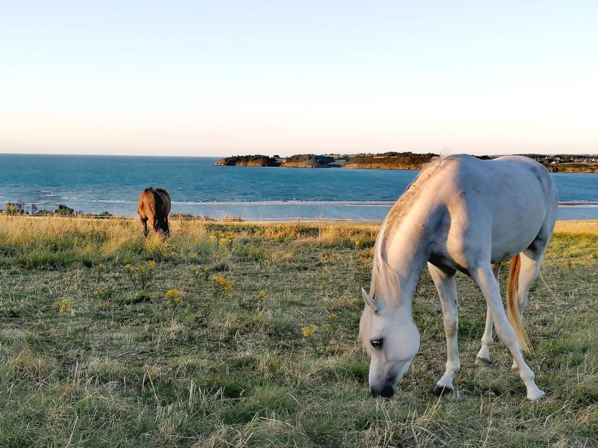 Le Ti'Nid - Gite De Charme - Vue Mer Langueux Buitenkant foto