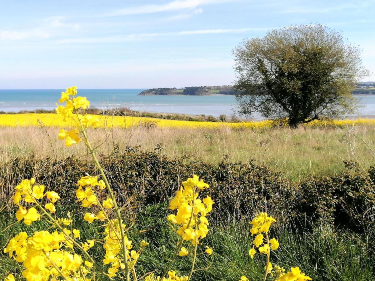 Le Ti'Nid - Gite De Charme - Vue Mer Langueux Buitenkant foto