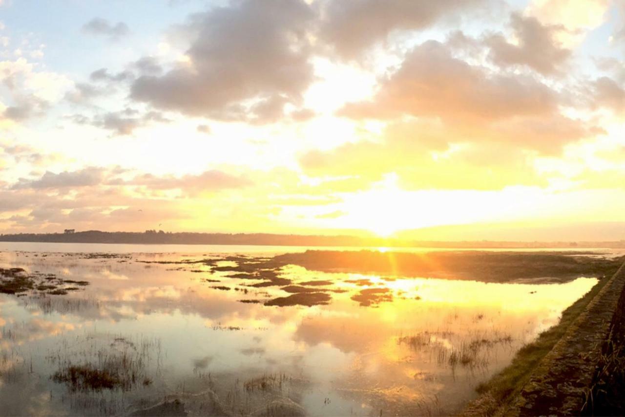 Le Ti'Nid - Gite De Charme - Vue Mer Langueux Buitenkant foto